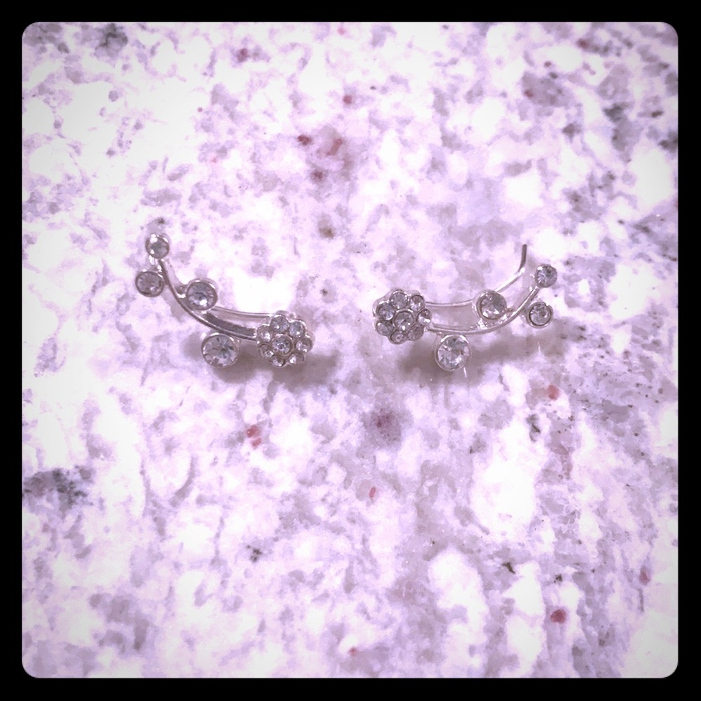 Ear ‘Pin’ Earrings